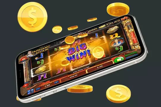 8333bet